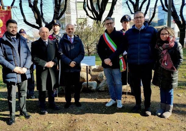 gallarate generico