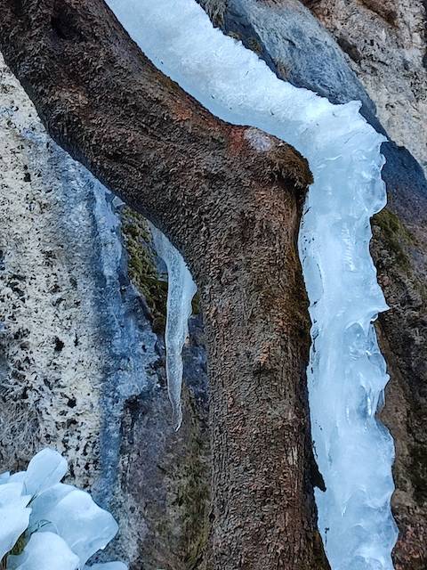 Grotte della Valganna