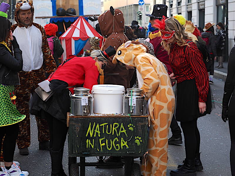 Il Carnevale 2023
