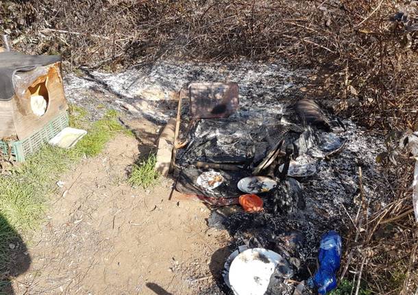 incendio colonia felina castano primo