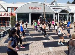 olympus avant palestra varese