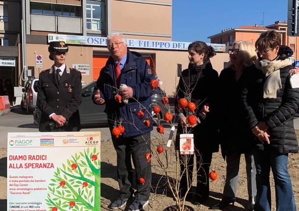 Piante di melograno al Del Ponte per ricordare la cura dei tumori infantili