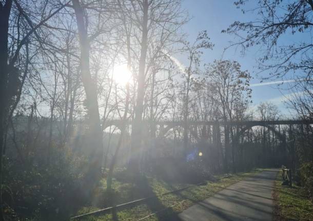 Una passeggiata in Valle Olona, le foto del lettore Paolo