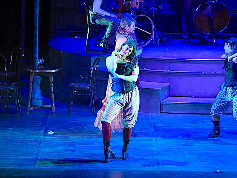 Van Gogh Cafè al Teatro Apollonio di Varese