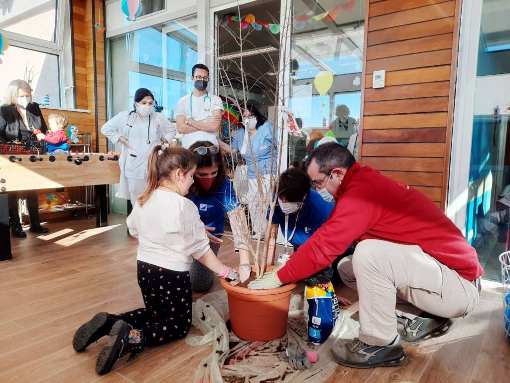 Varese - Melograni contro il cancro infantile