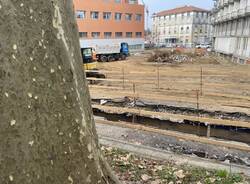 Alberi abbattuti all'ospedale di Circolo di Varese