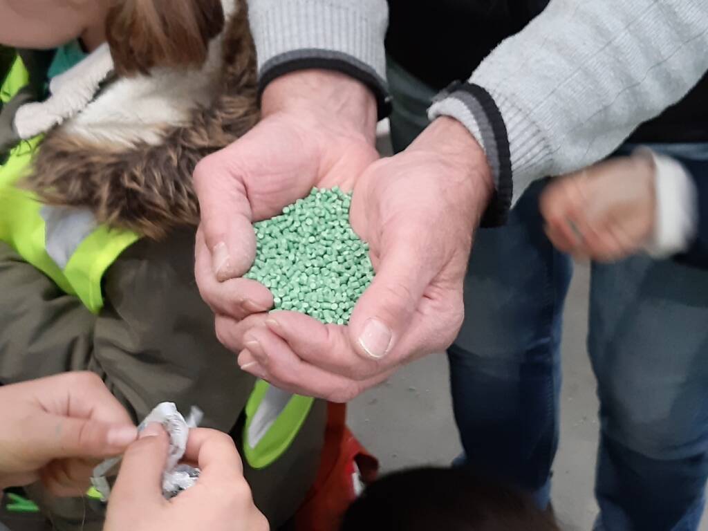 Alunni comprensivo tommaseo in gita in azienda