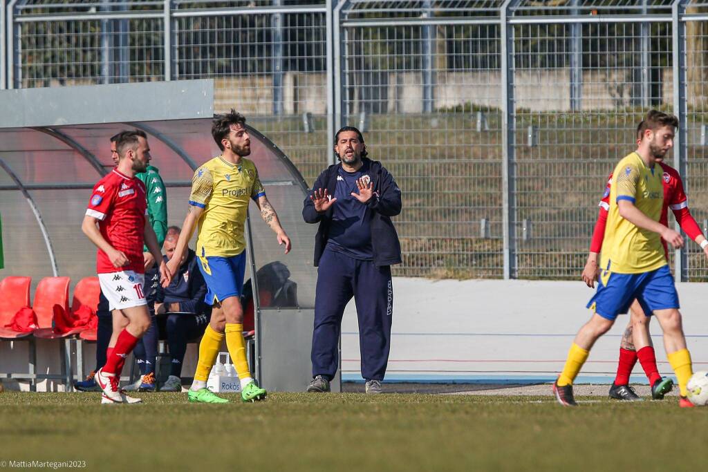 calcio città di varese arconatese