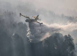 Canadair in azione su Montegrino Valtravaglia, foto di Gianpietro Toniolo