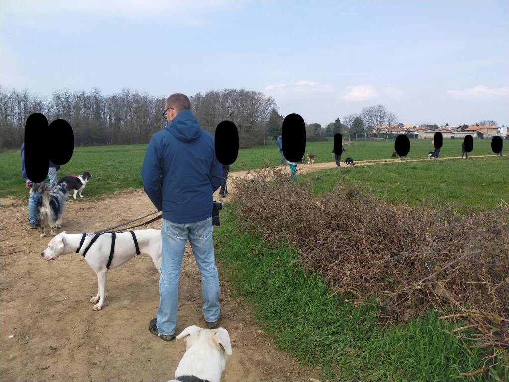 Ogni tanto ritornano (e continuano a non usare il guinzaglio)