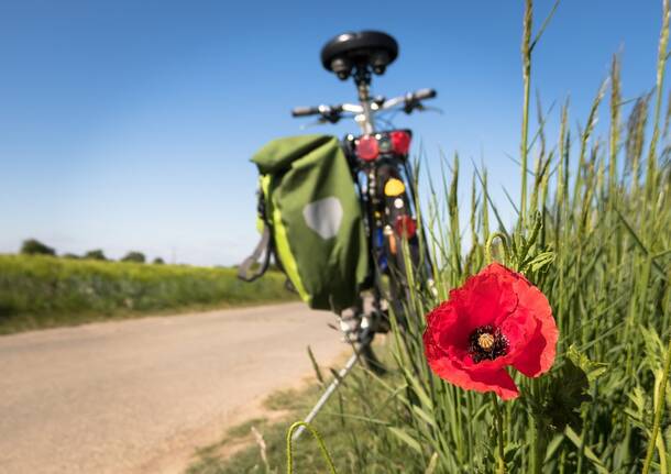 ciclista