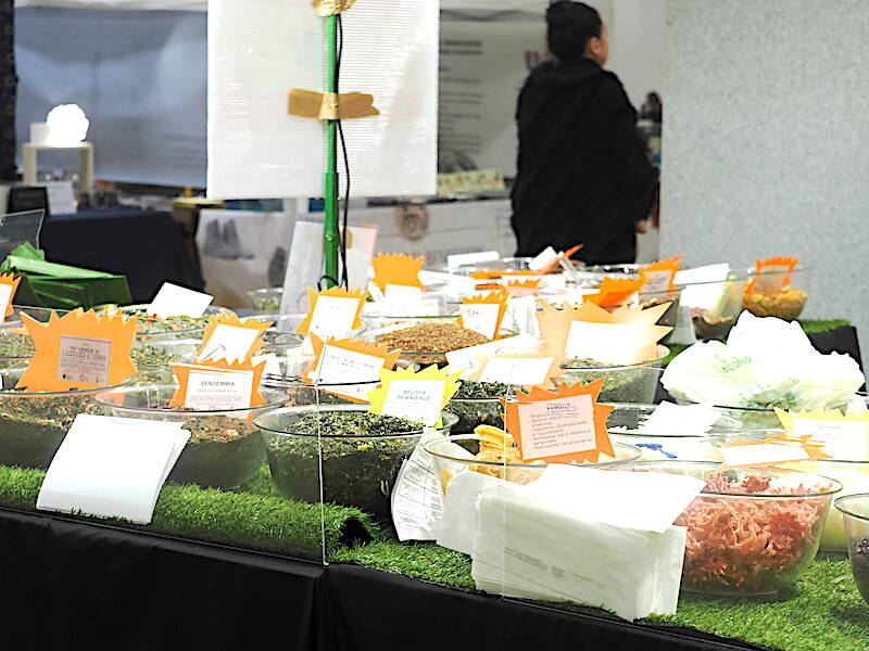 expo elettronica malpensa benessere 2023