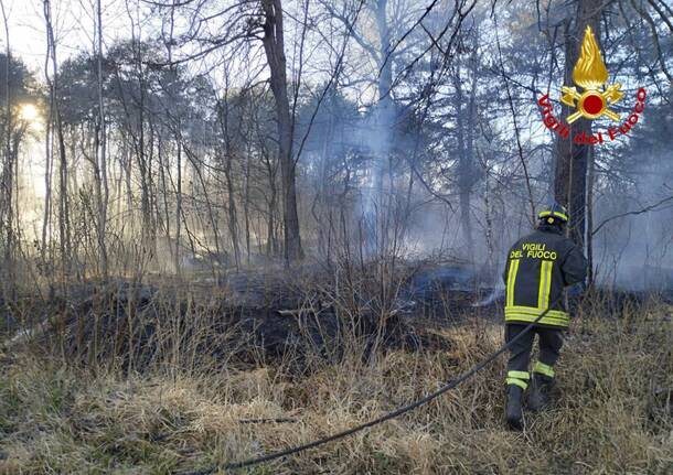 incendio bosco parco delle groane