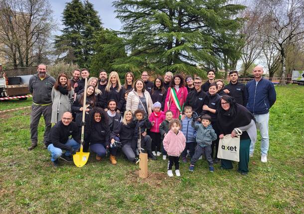 Gli alberi di Axet Facility per l'asilo Cinque Giornate di Solaro