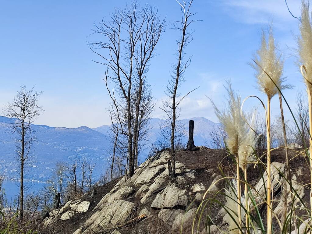 incendio montegrino pineta marzia malesani