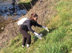 Legambiente pulizia dell’Olona a Legnano 