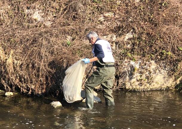 Legambiente pulizia dell’Olona a Legnano 