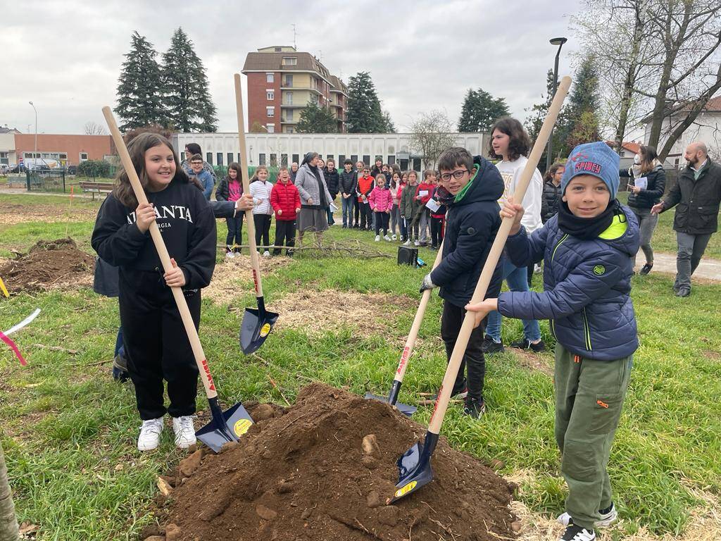 Parco dei Platani Castellanza