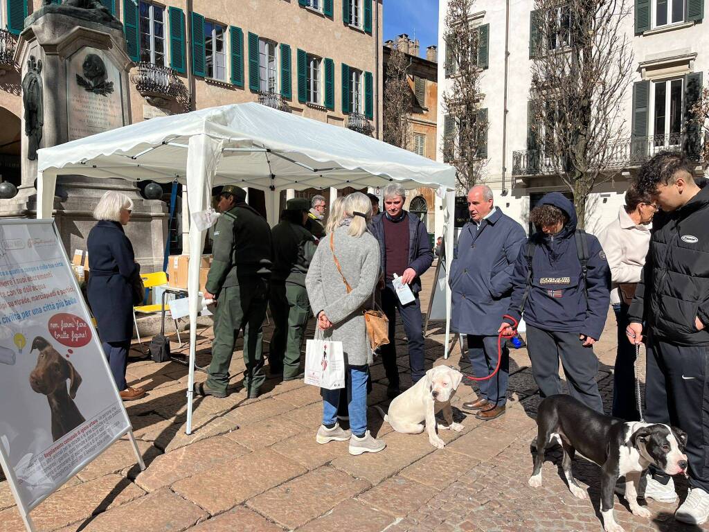 Parte la campagna per l'obbligo di sciacquare la pipi del cane