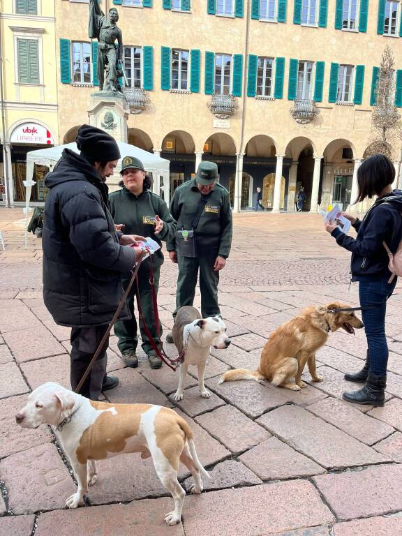 Parte la campagna per l'obbligo di sciacquare la pipi del cane