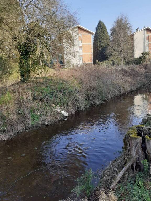 Pulizia del Lura, la Protezione Civile a Saronno trova valigie, biciclette e rifiuti di ogni tipo