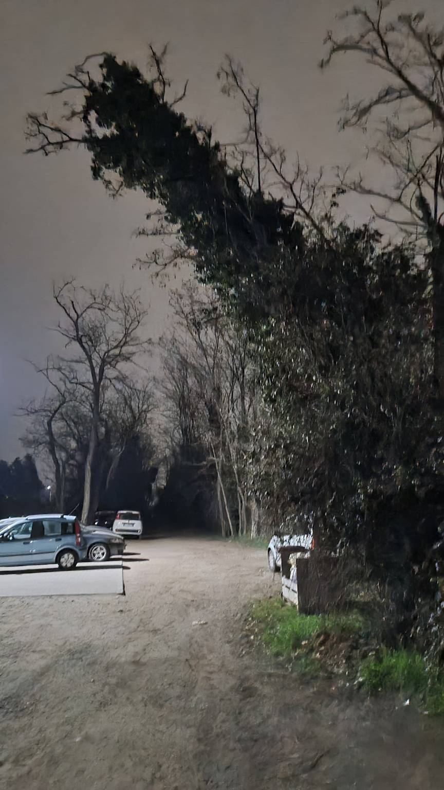 "Rifiuti, alberi pericolanti e degrado nella periferia di Legnano"