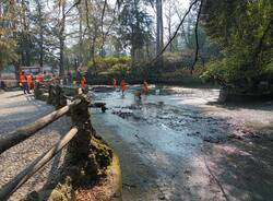 Varese - Pulizie al laghetto dei cigni