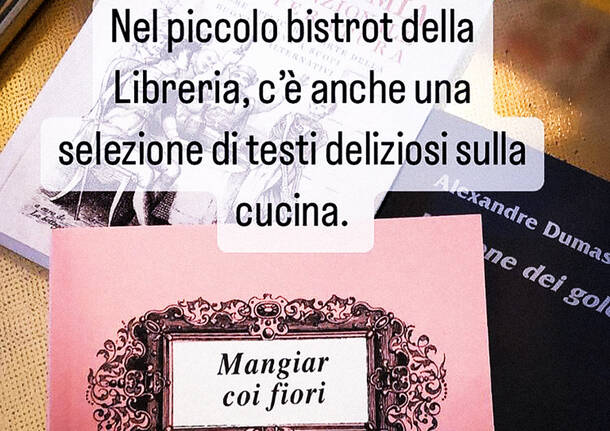 Wise Donkey Bistrot - marzo 2023