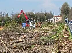 abbattimento alberi casorate sempione ferrovia malpensa