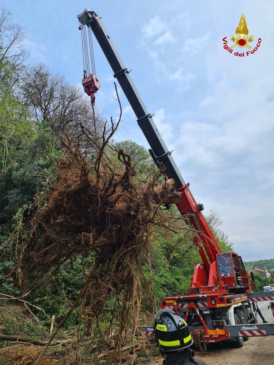 Alberi caduti in via Macchio a Premezzo 