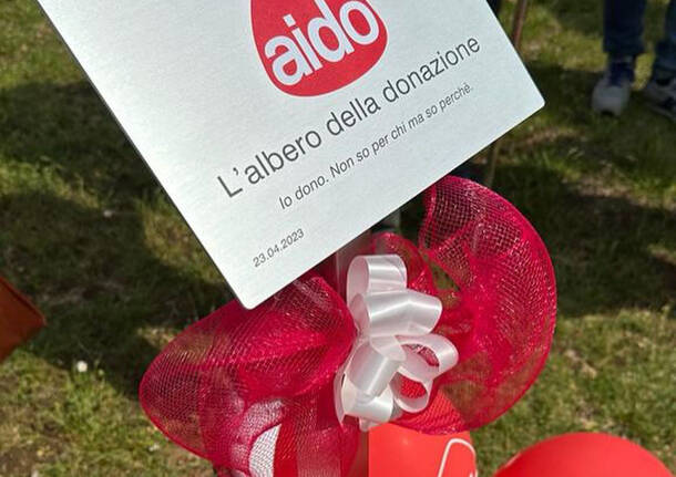 albero donazione AIDO dairago