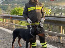 Camper fuori strada sulla A9. Estratti dal mezzo l'autista e il cane