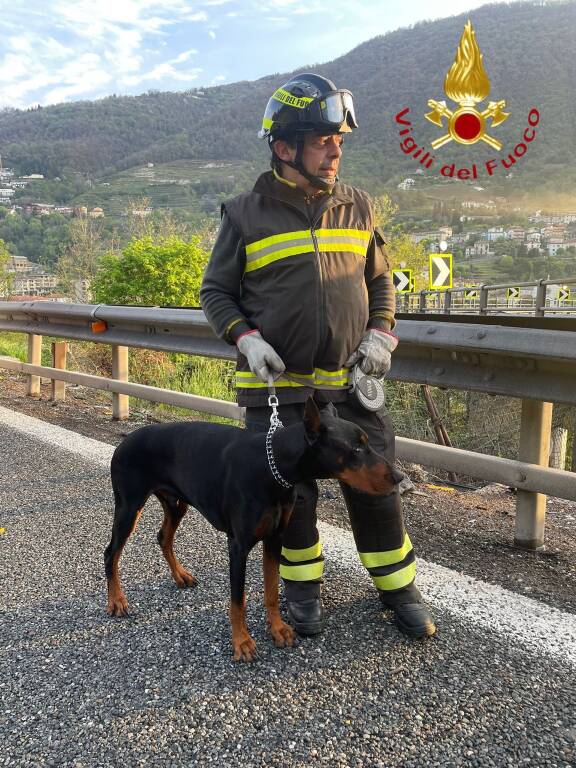 Camper fuori strada sulla A9. Estratti dal mezzo l'autista e il cane