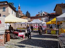 Fiera del Cardinale a Castiglione Olona