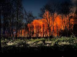 Incendio al Parco delle Groane