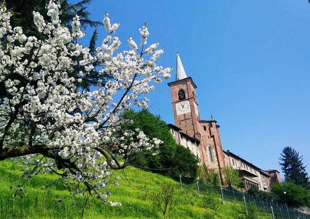 PASQUA AL MUSEO DELLA COLLEGIATA