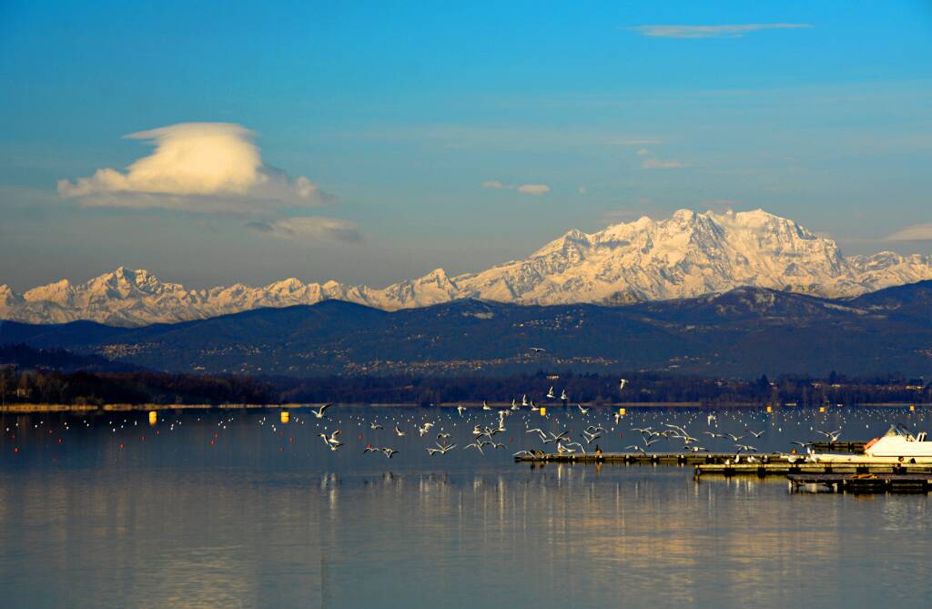 Schiranna, Lago di Varese