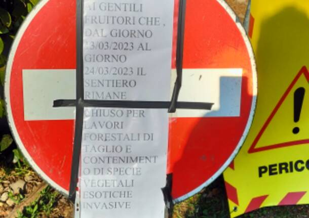 Taglio di alberi a Luvinate