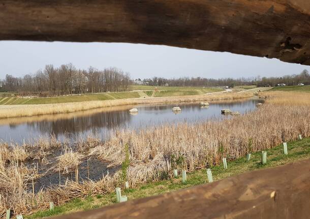 Centro biodiversità Parco Lura