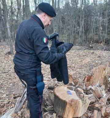 Controlli nel parco pineta 