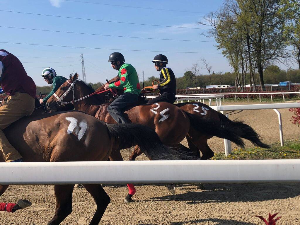Corse di addestramento per il Palio di Legnano - 10 aprile 2023