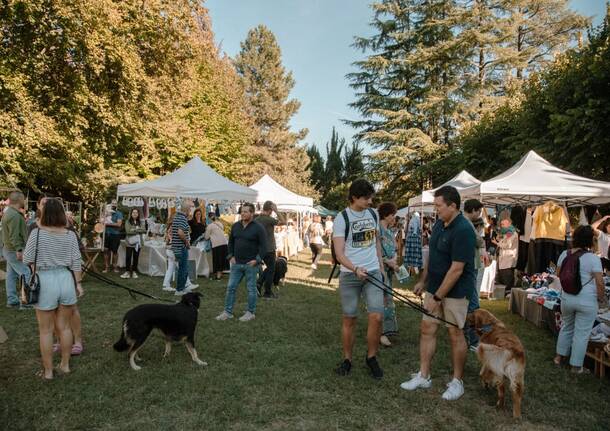 Creanza Spring Market