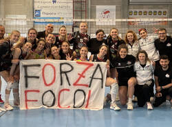 focol legnano