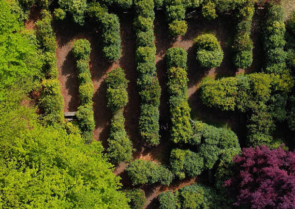 Il labirinto delle camelie di Laveno Mombello