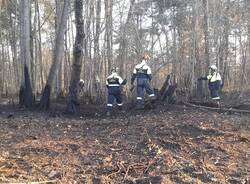 Incendio Gornate Olona