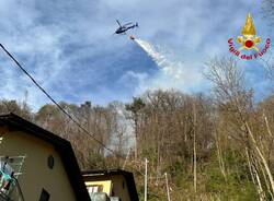 Incendio montegrino boschivo