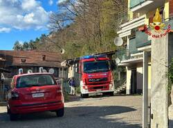 Incendio montegrino boschivo