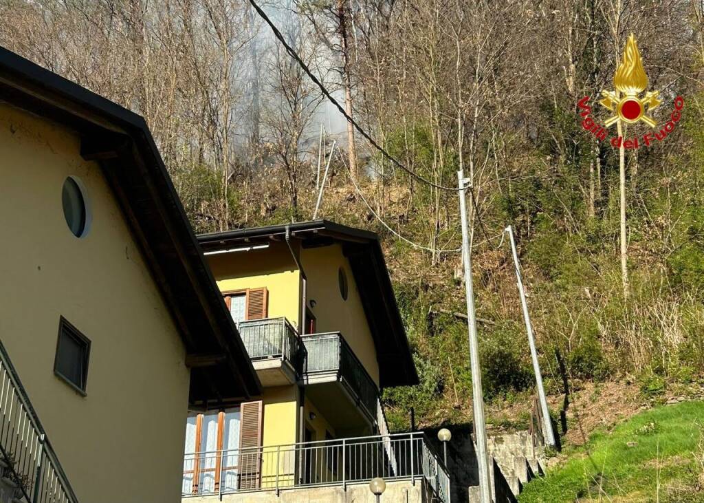 Incendio montegrino boschivo