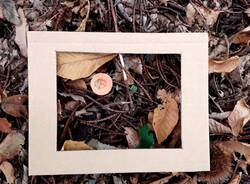 Induno Olona - Cristina Galli, guida di forest bathing