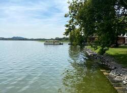 Isolino virginia
